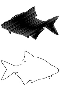 常见的鳊鱼剪影矢量