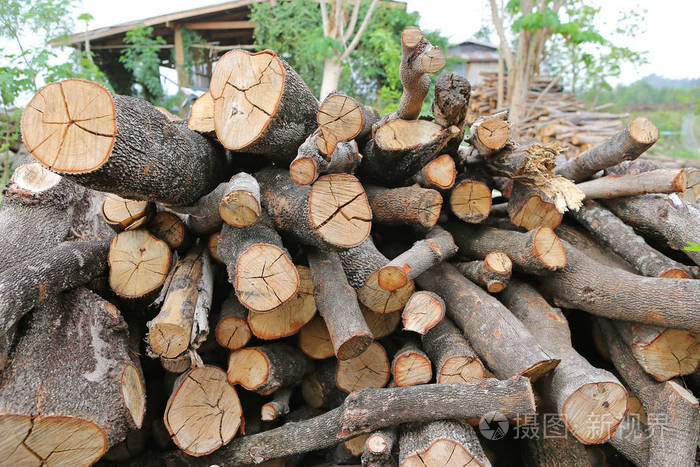 一大堆的干木柴