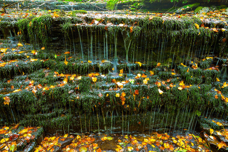 真的很小而美好瀑布在爱沙尼亚，国家公园拉 Vasaristi