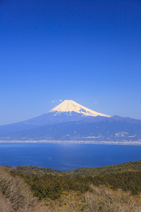 富士山和骏河湾