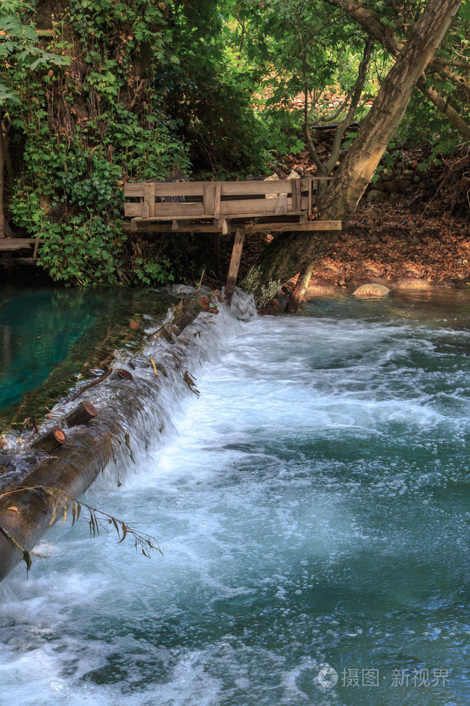 流动的水中森林