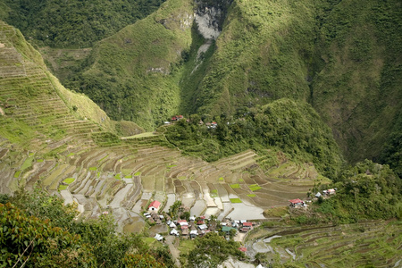 伊富高水稻梯田 batad