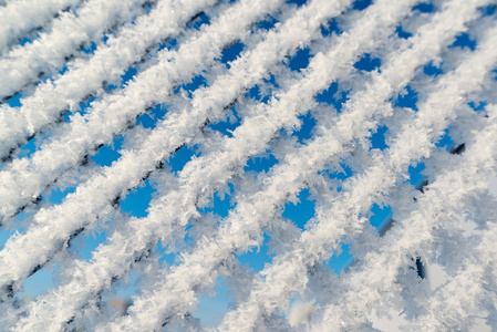 在哪下过雪栅栏铁丝网圈