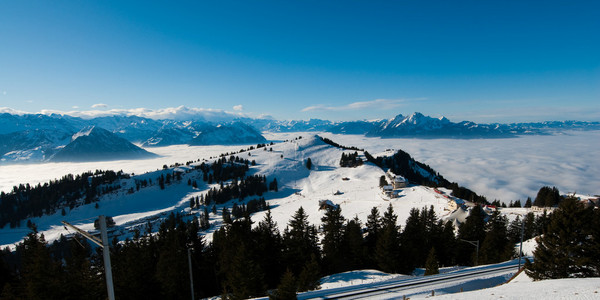 rigi 全景