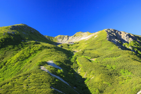 夏天日本山