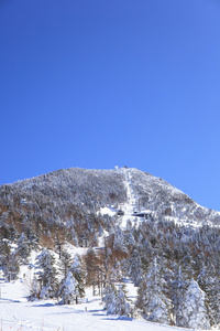 志贺高原滑雪场图片