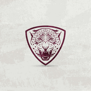 图标设计元素与豹子头照片