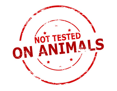 没有进行动物试验