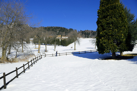 意大利阿尔卑斯山与寂寞男孩和越野滑雪