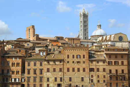生长的植物,阳台和窗户,讲述着他们关于蒙特罗索-阿尔马雷,五渔村城市