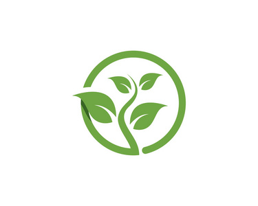 矢量树叶的绿色自然标志和符号照片