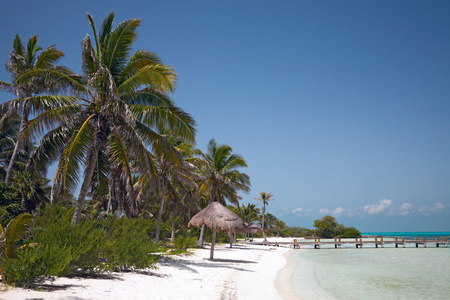 海滩上 isla contoy，墨西哥