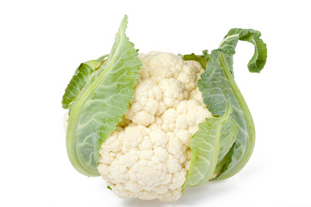 小花菜花椰菜照片