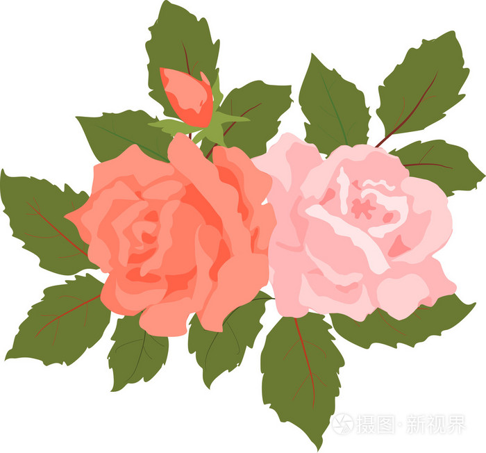 矢量束粉色和红色的玫瑰