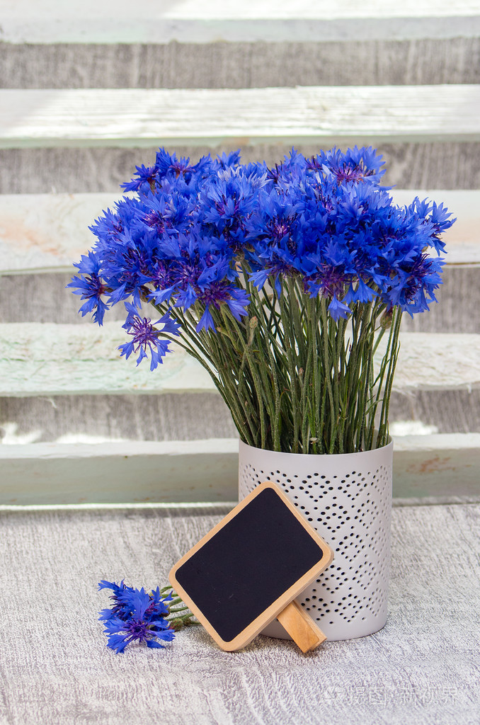 蓝色的矢车菊鲜花一束组成