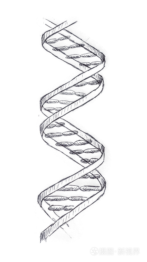 dna钢笔画