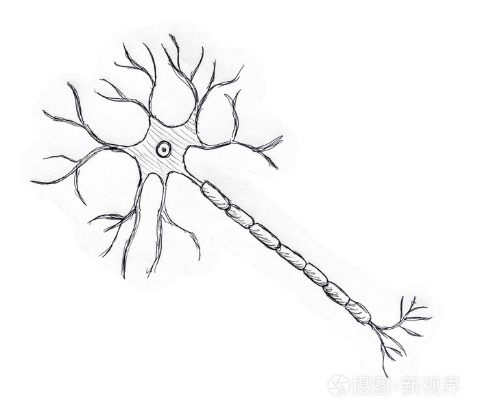 多级神经元手绘图图片