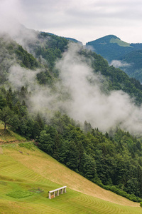 Hayrack 对边坡山 anf 雾云在森林里