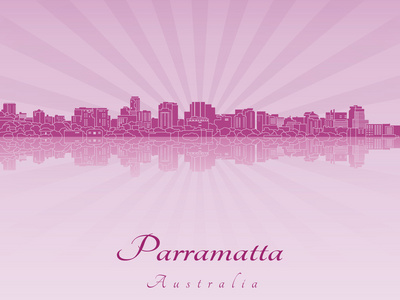 紫色的辐射兰花的帕拉马塔天际线