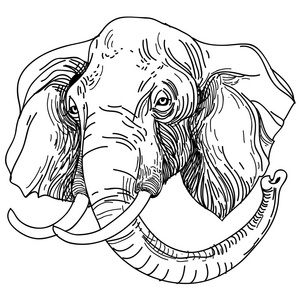 在白色背景上雕刻大象向量插图