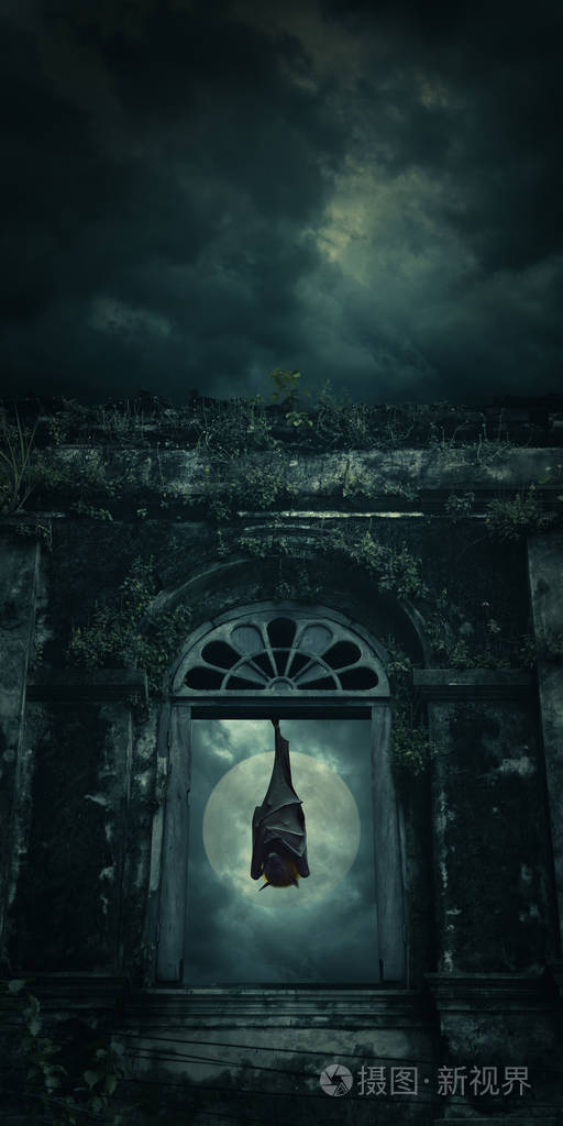 蝙蝠睡觉和幽灵般的古代城堡窗口上笼罩满月