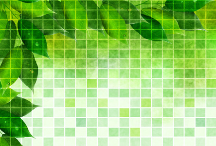 叶新鲜绿色背景