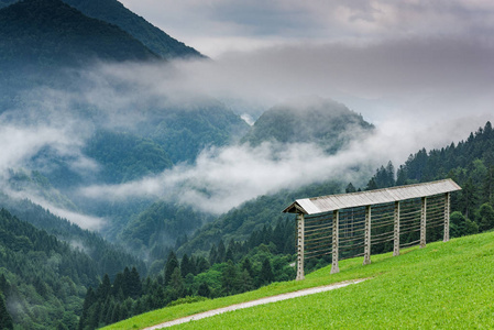 传统耕作，hayrack 在斯洛文尼亚山在有雾的日子