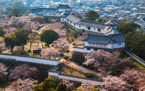 日本兵库县姬路城堡图片