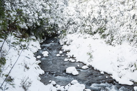 白雪覆盖树和地面沿边的小河