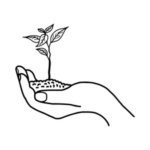 天麻生长植物图图片-天麻生长植物图素材-天麻生长植物图插画-摄图新