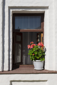 盆的老房子的窗户上的天竺葵