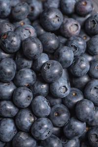 蓝莓的背景。成熟和多汁的新鲜采摘的蓝莓 cl