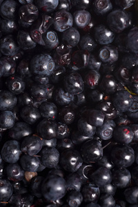 蓝莓的背景。成熟和多汁的新鲜采摘的蓝莓 cl