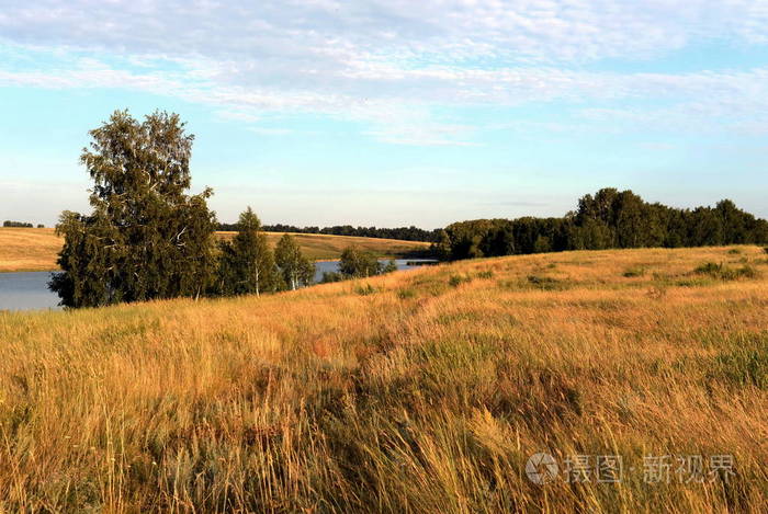 阿尔泰边疆区 Mamontovsky 区夏日风景