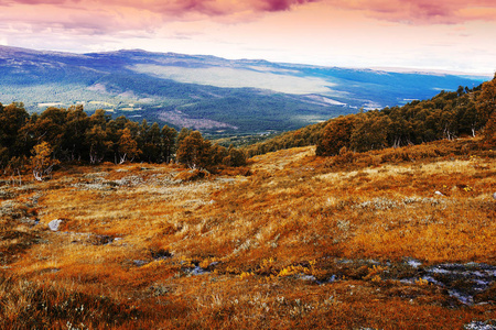 经典挪威山地森林风景背景