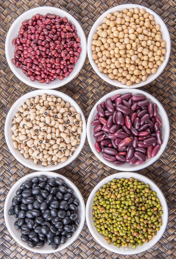 豆和豆类品种