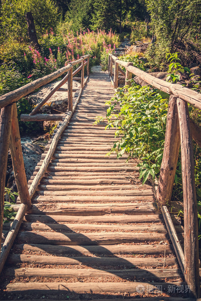 在森林里的老木桥