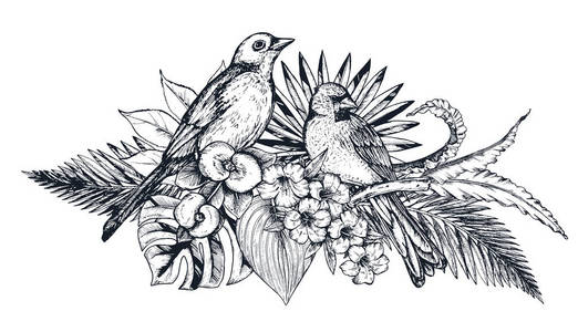 珍奇图片 珍奇素材 珍奇插画 摄图新视界 珍奇图片 珍奇素材 珍奇插画 摄图新视界