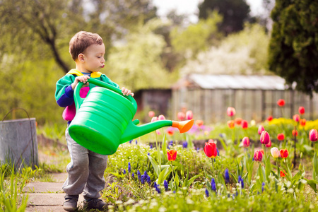 大象正在浇花图片