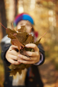 男孩抱着大量的树叶在手中