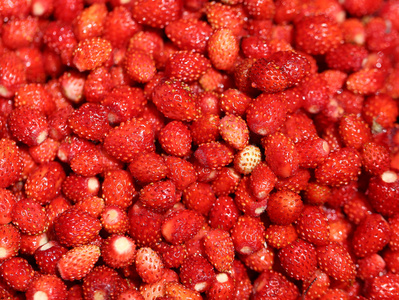 美味的野生浆果草莓
