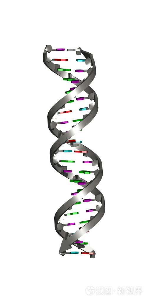 dna双螺旋结构 螺旋形图片