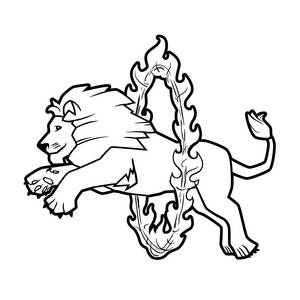 狮子跳火圈照片