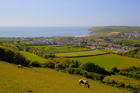 到夏天与小马 Croyde 湾英国英国德文郡乡村视图