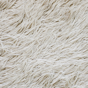 假毛鸡纹理大白毛背景照片