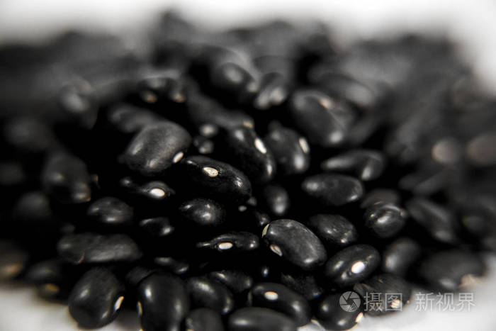 蚕豆种子黑色细节