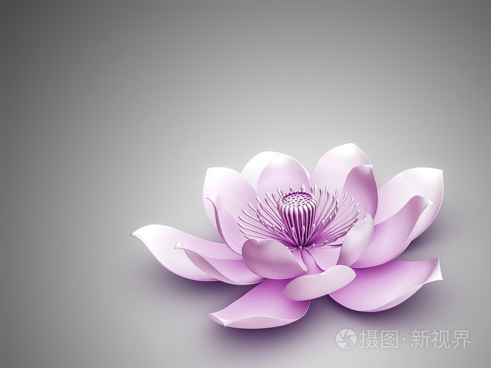 莲花照片 正版商用图片0cpv19 摄图新视界 莲花照片 正版商用图片0cpv19 摄图新视界