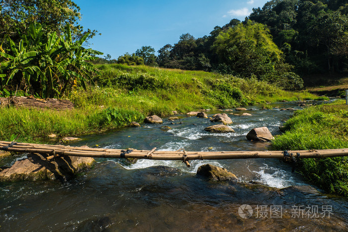曲线沿着森林的小溪一条小的竹桥