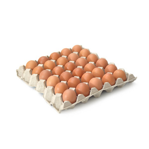 新鲜的鸡蛋，在佩特托盘组隔离在白色背景上