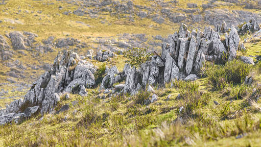 岩石的乡村景观，马尔多纳多 乌拉圭
